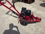 General Appearance with Paint