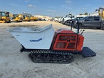 General Appearance with Paint