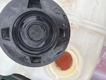 Engine with Radiator