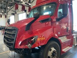General Appearance with Paint