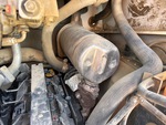 Engine with Exhaust System