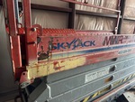 General Appearance with Paint