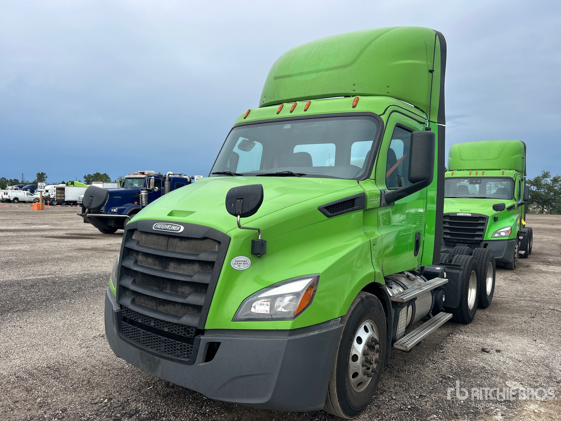 2019 Freightliner CASCADIA 116