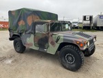 General Appearance with Paint