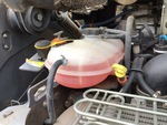Silnik with Cooling System Leaks