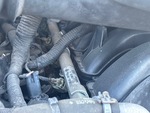 Engine with Fuel System