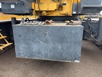 General Appearance with Paint
