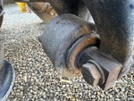 4 Underbody - Truck with Boccole sospensioni