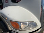 General Appearance with Paint