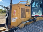 General Appearance with Paint