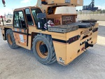 General Appearance with Paint