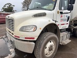 General Appearance with Paint