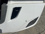 General Appearance with Paint