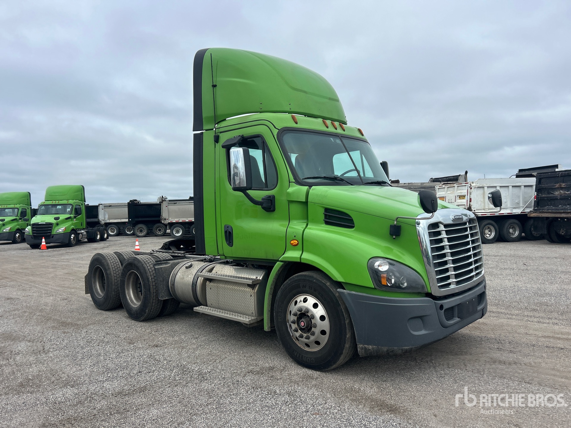2019 Freightliner CASCADIA 113