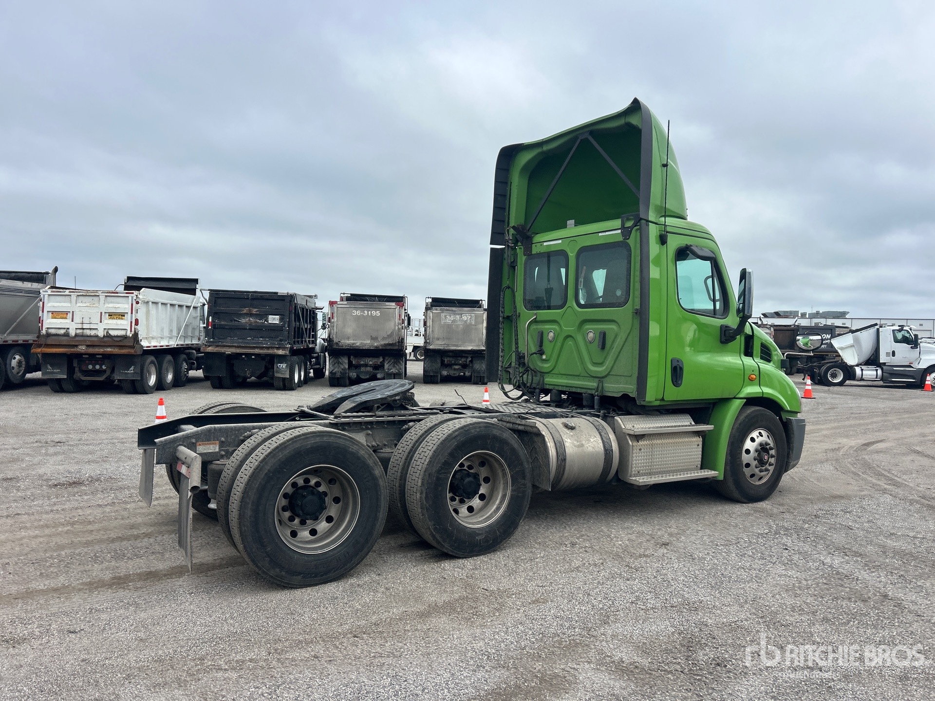 2019 Freightliner CASCADIA 113