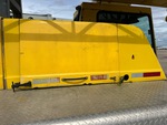 General Appearance with Paint