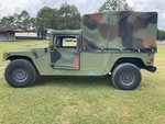 General Appearance with Paint