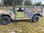 General Appearance with Paint