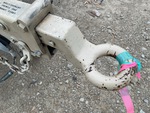 General Appearance with Paint
