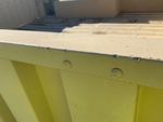 General Appearance with Paint