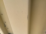 General Appearance with Paint