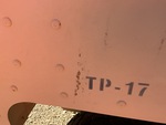 General Appearance with Paint