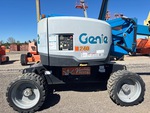 General Appearance with Paint