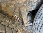 Underbody with
