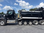 General Appearance with Paint