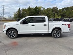 General Appearance with Paint