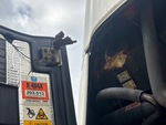 Refrigeration Unit with