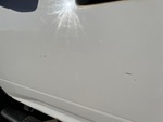 General Appearance with Paint