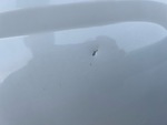 General Appearance with Paint
