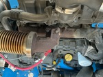 Engine with Exhaust System