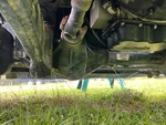 Underbody with Steer Axle