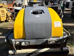 General Appearance with Paint