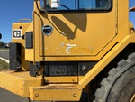 General Appearance with Paint