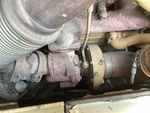 Engine with Exhaust System