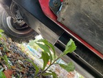 Drivetrain with Transfer Case / Drop Box