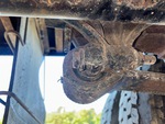 Underbody with Suspension Bushings