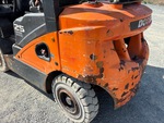 General Appearance with Paint