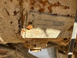 Sous-caisse with