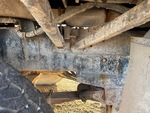 Underbody with Condizioni del telaio
