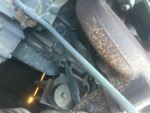 Motore with