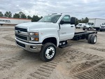 General Appearance with Featured Photo