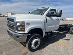 General Appearance with Paint