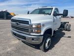 General Appearance with Paint