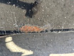 General Appearance with Paint