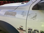 General Appearance with Paint