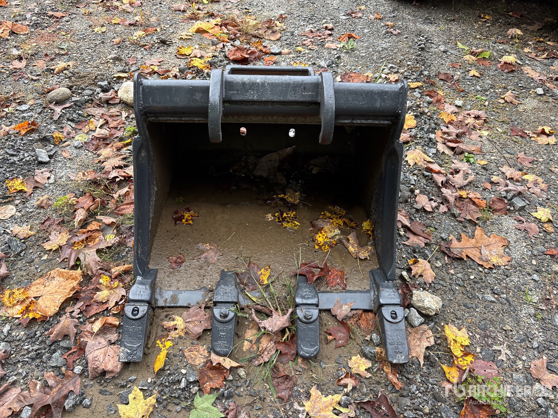Bobcat 24 in Q/C Digging (Unused)